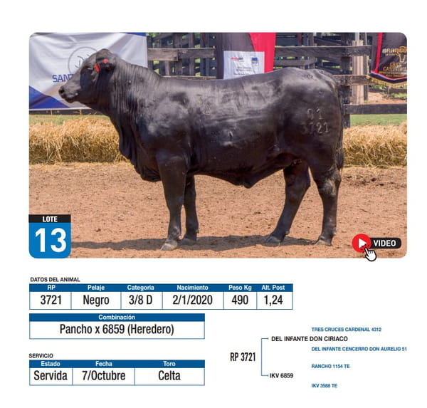 Lote Pancho x 6859 (Heredero)