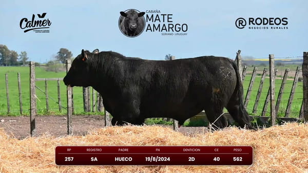Lote RP 257 SA