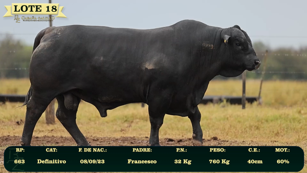 Lote LOTE 18