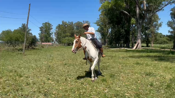 Lote 1 Montados en Corrientes, Curuzú-Cuatiá