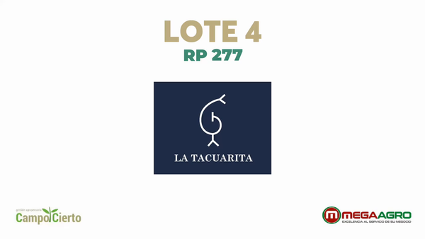 Lote LA TACUARITA