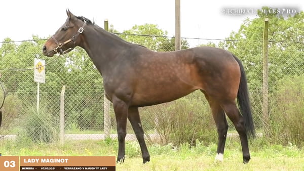Lote LADY MAGINOT