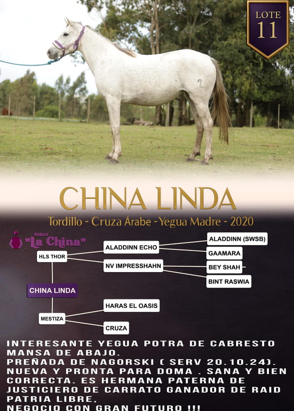 Lote CHINA LINDA