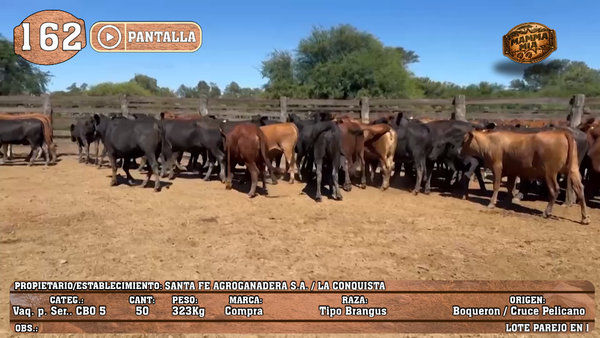 Lote LOTE 162 - PANTALLA