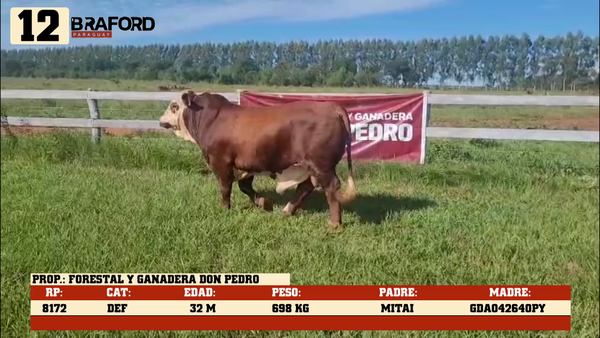 Lote LOTE 12