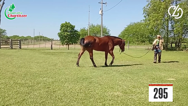 Lote Cuarto de Milla