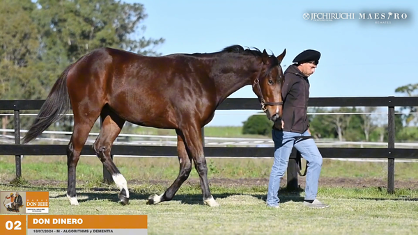 Lote DON DINERO