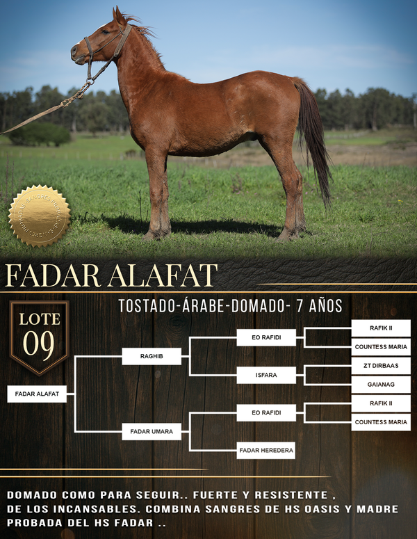 Lote FADAR ALAFAT