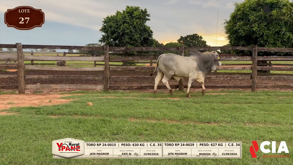 Lote Lote 27