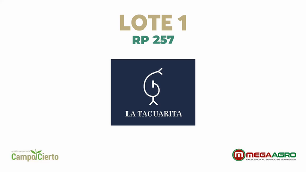 Lote LA TACUARITA