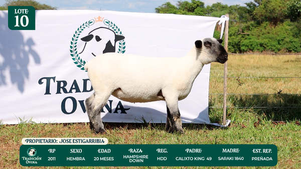 Lote LOTE 10