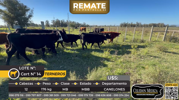 Lote 12 Terneros en Ruta 8 km 70 Cabo Cuchilla De Horno,  Canelones