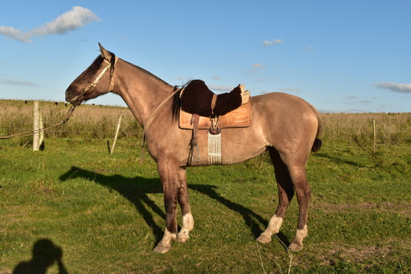 Lote Cabaña "Firmeza" - RP 73 - Piraí 73