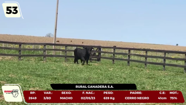 Lote LOTE 53 - CAMPO