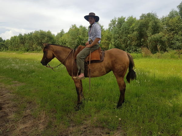 Lote LECHUZA ESCONDIDA