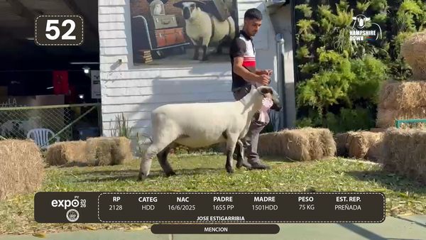 Lote LOTE 52 - BOZAL