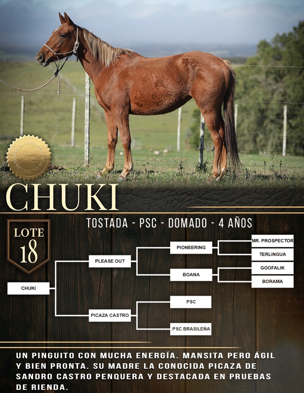 Lote CHUKI
