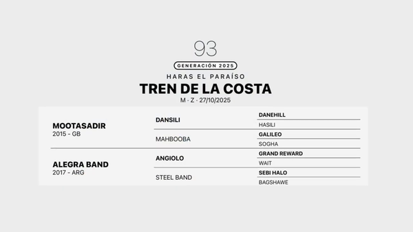 Lote TREN DE LA COSTA