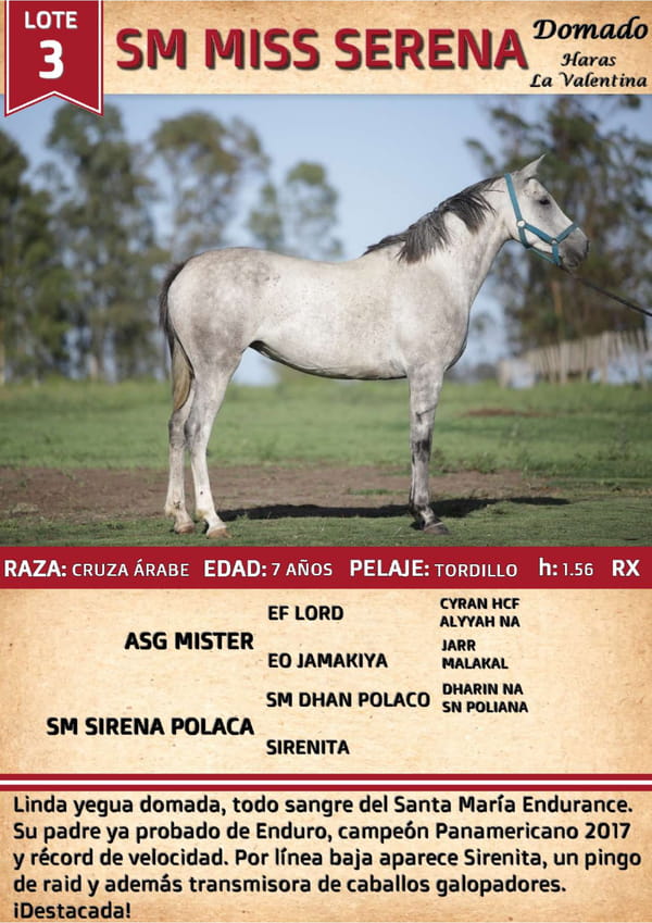 Lote SM MISS SERENA
