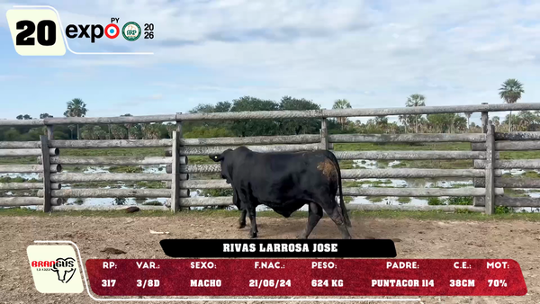 Lote LOTE 20