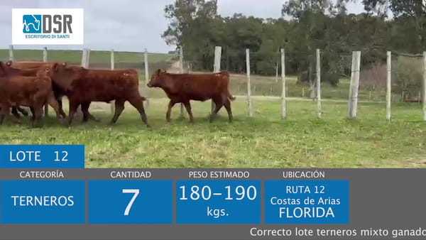 Lote Lote 12 - Ganado