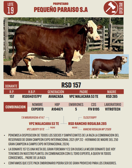 Lote LOTE 19