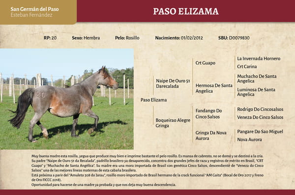 Lote Paso Elizama (RP 20) - Cabaña San Germán del Paso