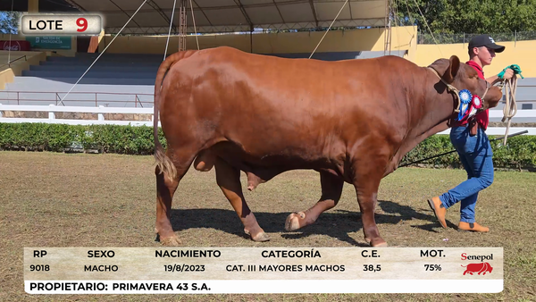Lote LOTE 9