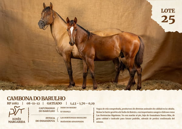 Lote CAMBONA DO BARULHO