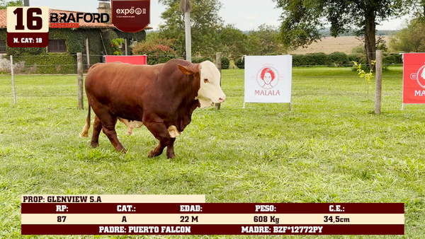 Lote LOTE 16
