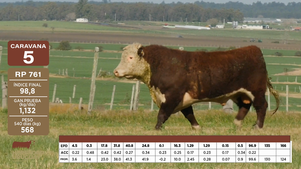 Lote Caravana 5 "Anita S.G."