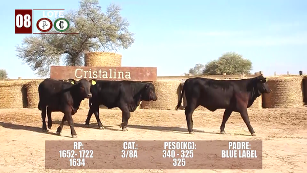 Lote Lote 8 Reserva de Cabaña