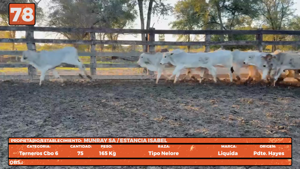 Lote LOTE 78
