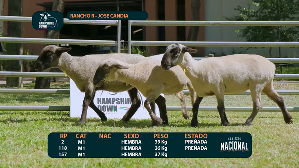 Lote LOTE 9 - CABAÑA R - RP 2 / 118 / 157