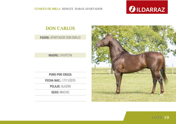 Lote DON CARLOS