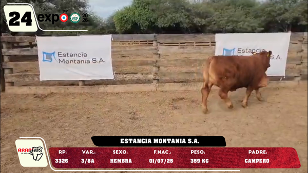 Lote LOTE 24