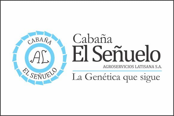 Lote VAQUILLONAS P.P. 1A - 1B