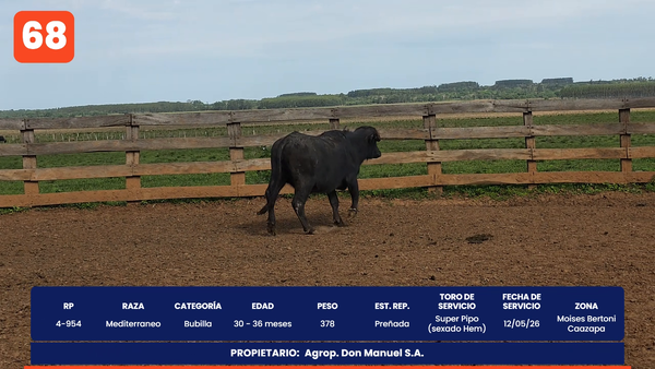 Lote LOTE 68