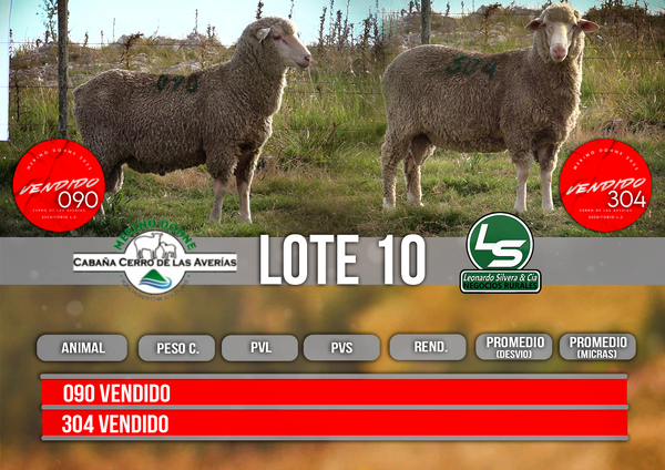 Lote LOTE 10