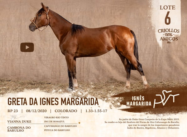 Lote GRETA DA IGNES MARGARIDA RP 23