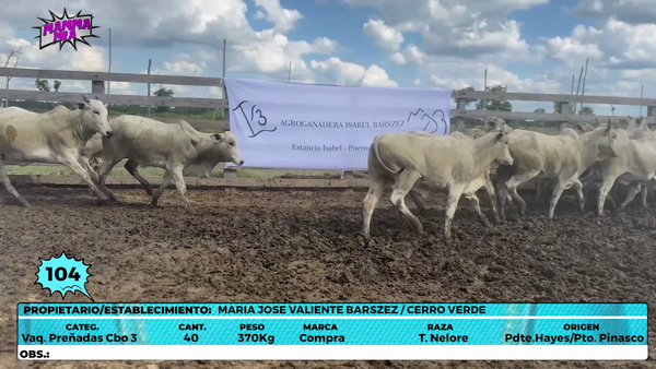 Lote LOTE 104