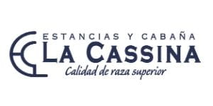 Lote VAQUILLONAS  PP