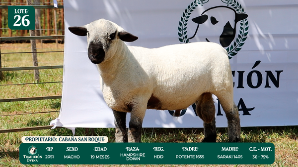 Lote LOTE 26