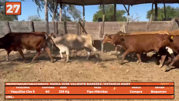 Lote LOTE 27