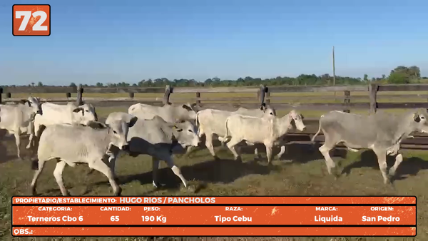 Lote LOTE 72