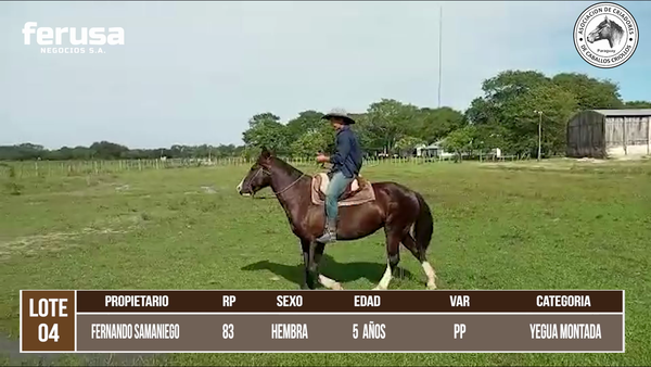 Lote LOTE 4 DE BOZAL