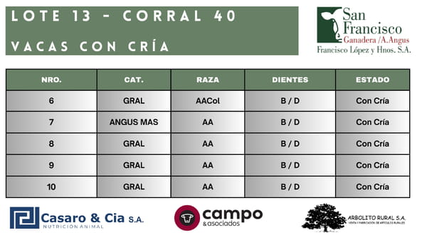 Lote Vacas con Cría San Francisco