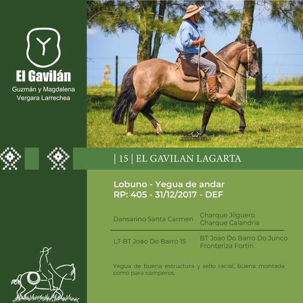 Lote El Gavilán Lagarta (RP 405) Cabaña "El Gavilán"