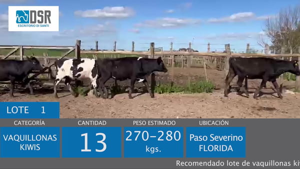 Lote Lote 1 - Ganado