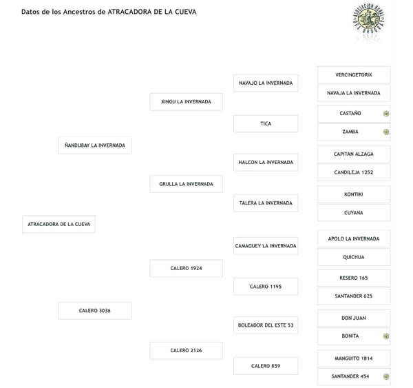 Lote Cabaña "La Cueva" - RP 163 - Atracadora de la Cueva